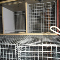 Galvanizzata in rete di filo di ferro saldato per gabbie